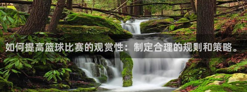 如何提高篮球比赛的观赏性：制定合理的规则和策略。