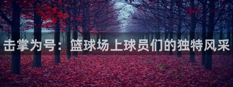 击掌为号：篮球场上球员们的独特风采