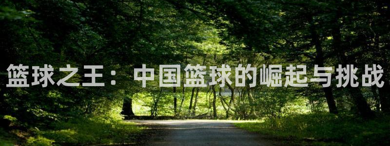 篮球之王：中国篮球的崛起与挑战