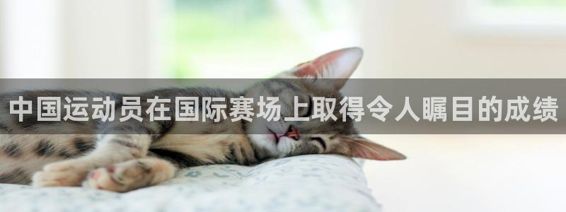 中国运动员在国际赛场上取得令人瞩目的成绩
