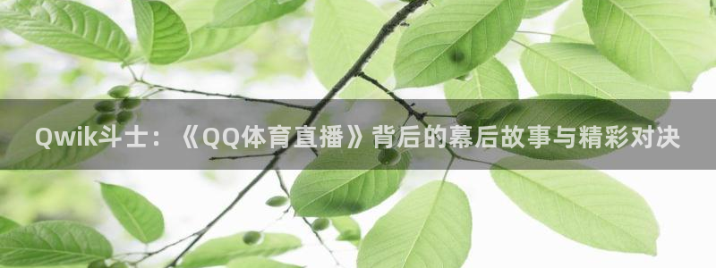 Qwik斗士：《QQ体育直播》背后的幕后故事与精彩对决