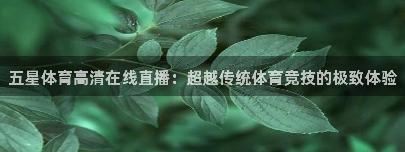 五星体育高清在线直播：超越传统体育竞技的极致体验