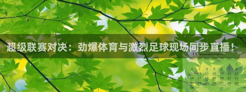 超级联赛对决：劲爆体育与激烈足球现场同步直播！
