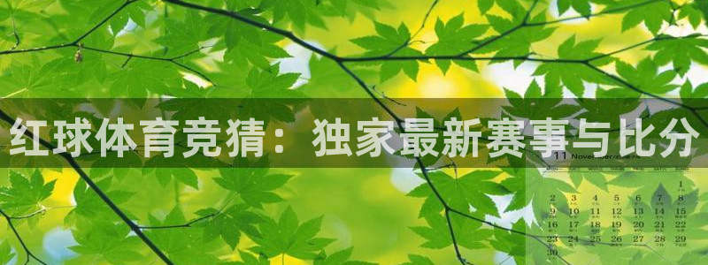 红球体育竞猜：独家最新赛事与比分