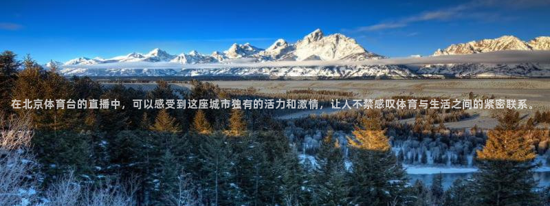 在北京体育台的直播中，可以感受到这座城市独有的活力和激情，让人不禁感叹体育与生活之间的紧密联系。