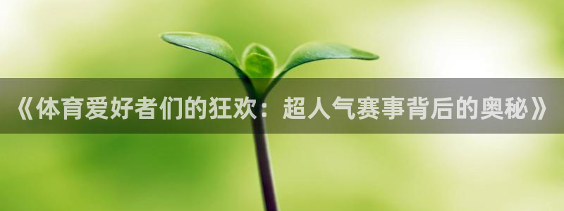 《体育爱好者们的狂欢：超人气赛事背后的奥秘》