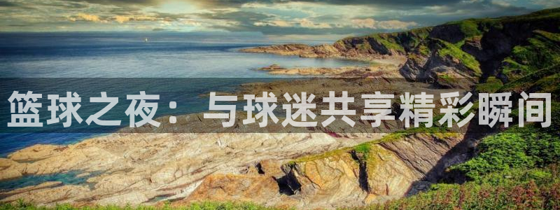 篮球之夜：与球迷共享精彩瞬间