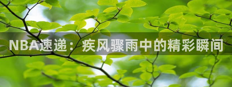 NBA速递：疾风骤雨中的精彩瞬间