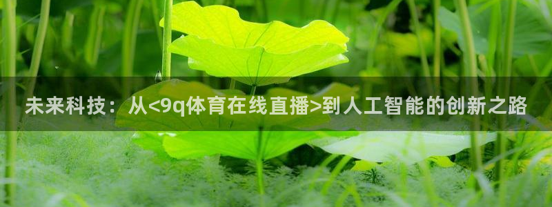 未来科技：从<9q体育在线直播>到人工智能的创新之路