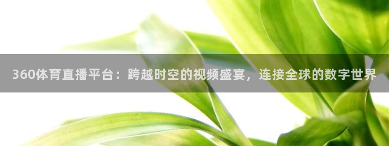 360体育直播平台：跨越时空的视频盛宴，连接全球的数字世界