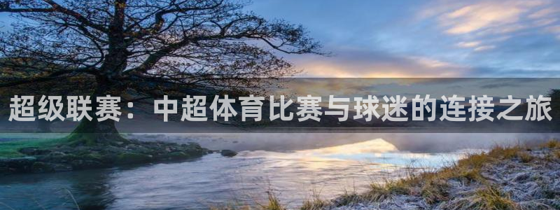 超级联赛：中超体育比赛与球迷的连接之旅