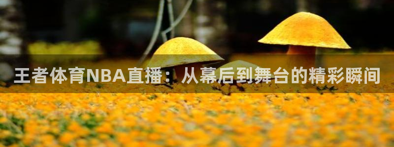 王者体育NBA直播：从幕后到舞台的精彩瞬间