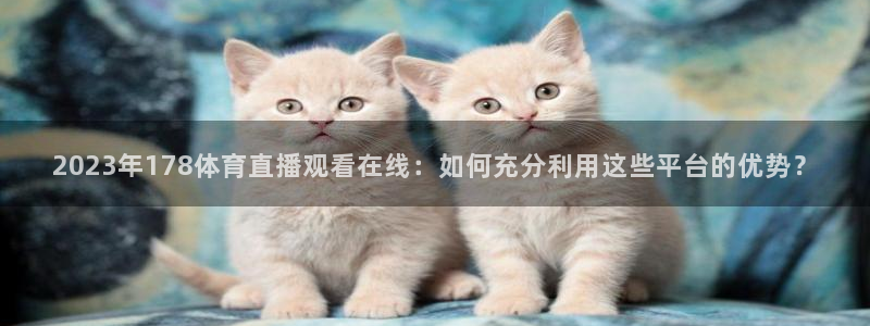 2023年178体育直播观看在线：如何充分利用这些平台的优势？