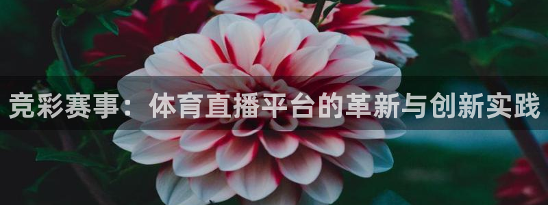 竞彩赛事：体育直播平台的革新与创新实践