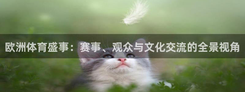 欧洲体育盛事：赛事、观众与文化交流的全景视角
