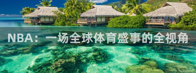 NBA：一场全球体育盛事的全视角