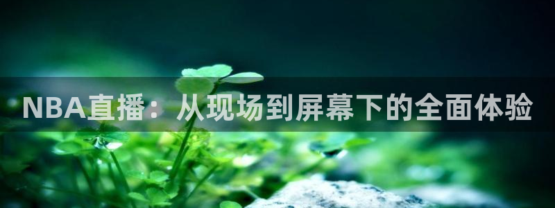 NBA直播：从现场到屏幕下的全面体验