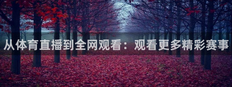 从体育直播到全网观看：观看更多精彩赛事