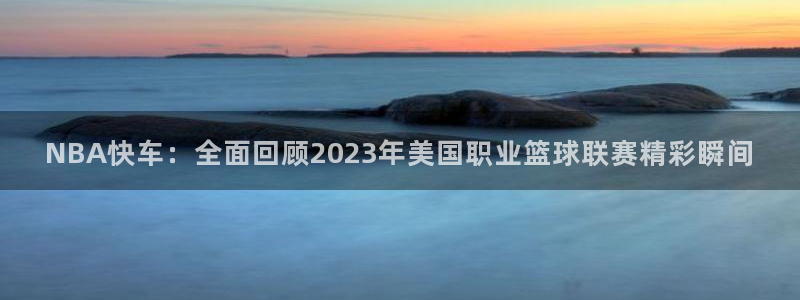 NBA快车：全面回顾2023年美国职业篮球联赛精彩瞬间