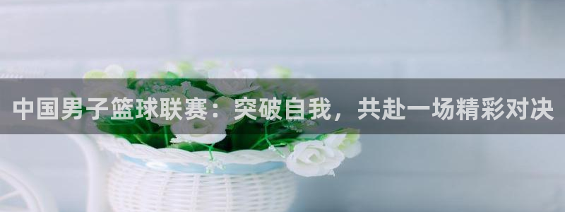 中国男子篮球联赛：突破自我，共赴一场精彩对决