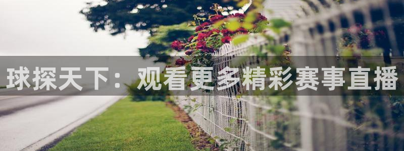 球探天下：观看更多精彩赛事直播