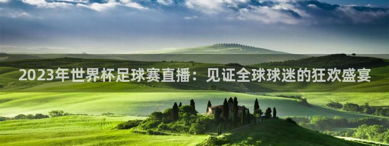 2023年世界杯足球赛直播：见证全球球迷的狂欢盛宴