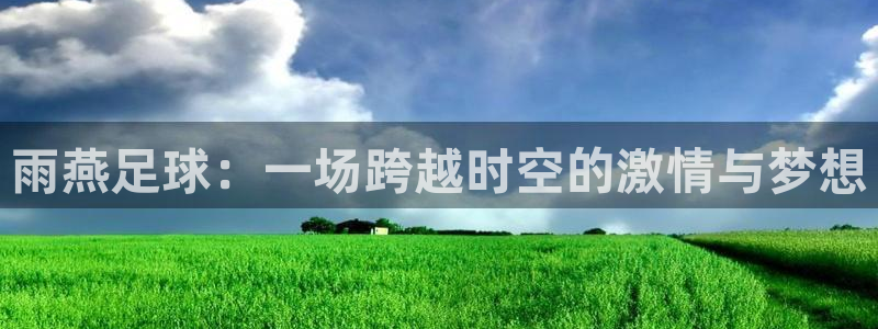 雨燕足球：一场跨越时空的激情与梦想