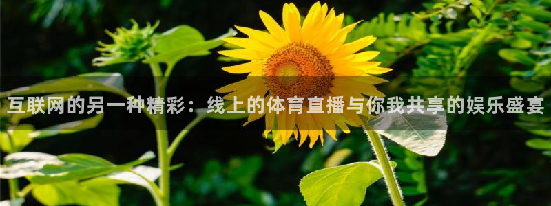 互联网的另一种精彩：线上的体育直播与你我共享的娱乐盛宴