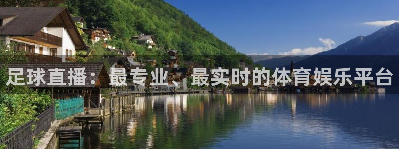 足球直播：最专业、最实时的体育娱乐平台