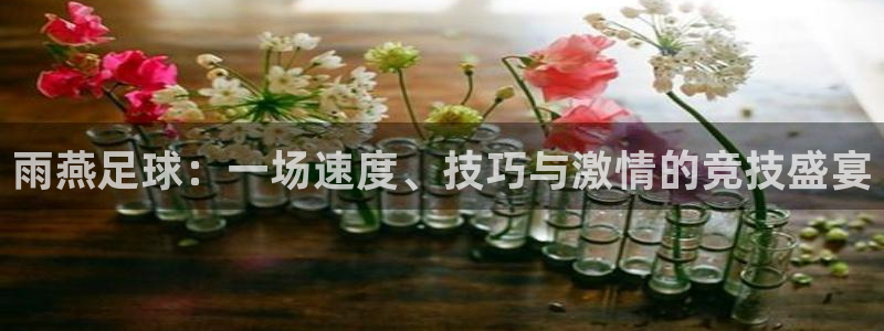 雨燕足球：一场速度、技巧与激情的竞技盛宴