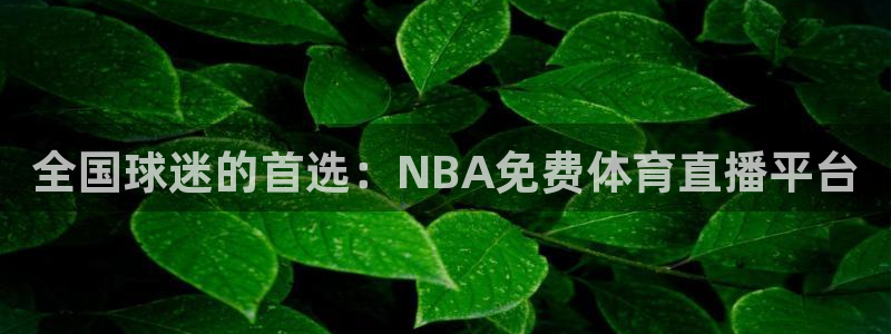 全国球迷的首选：NBA免费体育直播平台