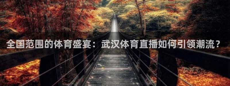 全国范围的体育盛宴：武汉体育直播如何引领潮流？