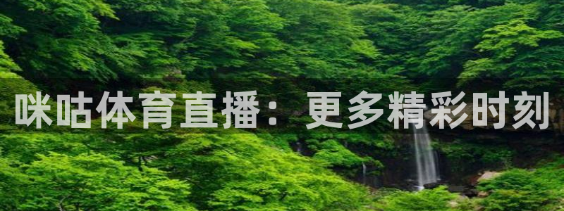 咪咕体育直播：更多精彩时刻