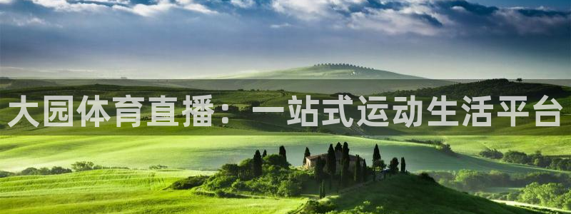 大园体育直播：一站式运动生活平台
