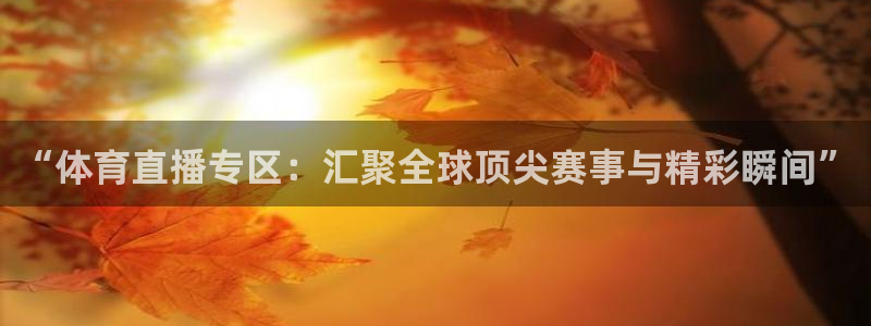 “体育直播专区：汇聚全球顶尖赛事与精彩瞬间”