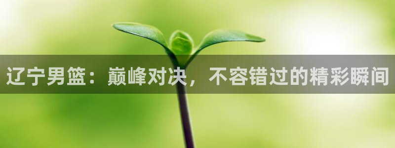 辽宁男篮：巅峰对决，不容错过的精彩瞬间