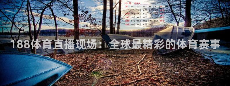188体育直播现场：全球最精彩的体育赛事