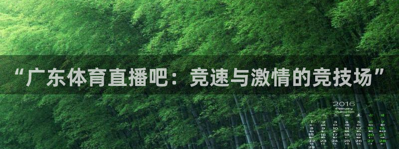 “广东体育直播吧：竞速与激情的竞技场”