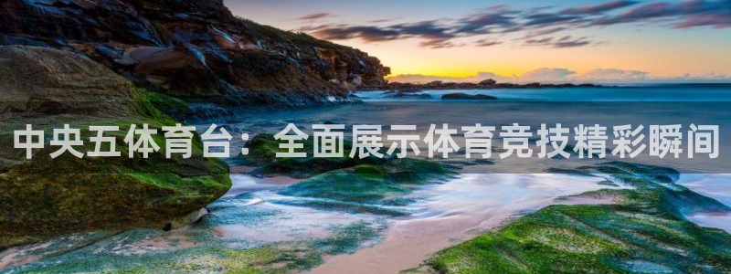 中央五体育台：全面展示体育竞技精彩瞬间