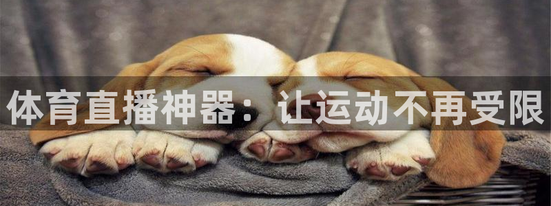 体育直播神器：让运动不再受限