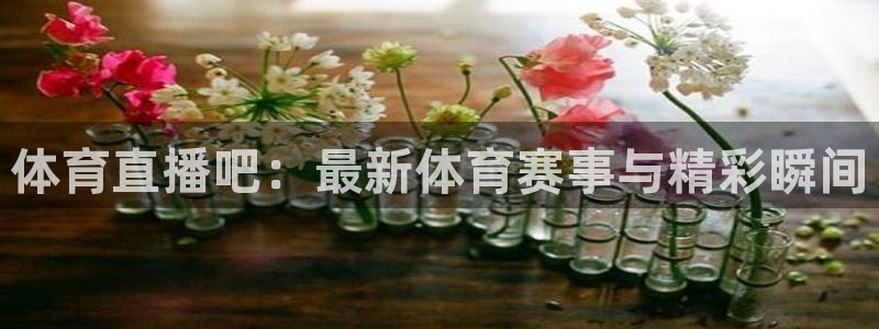 体育直播吧：最新体育赛事与精彩瞬间