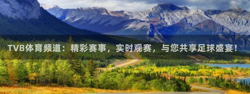 TVB体育频道：精彩赛事，实时观赛，与您共享足球盛宴！
