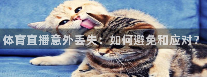 体育直播意外丢失：如何避免和应对？