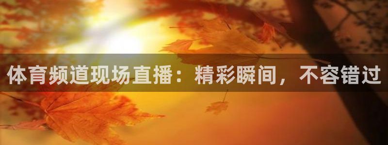 体育频道现场直播：精彩瞬间，不容错过