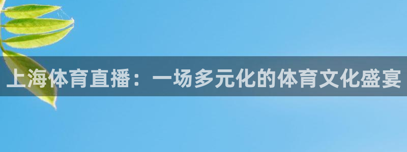 上海体育直播：一场多元化的体育文化盛宴