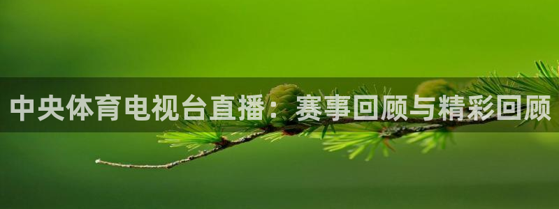 中央体育电视台直播：赛事回顾与精彩回顾