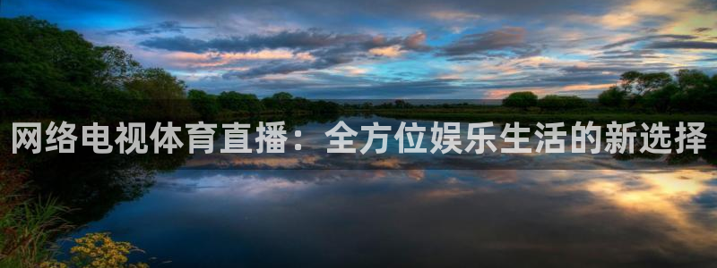 网络电视体育直播：全方位娱乐生活的新选择