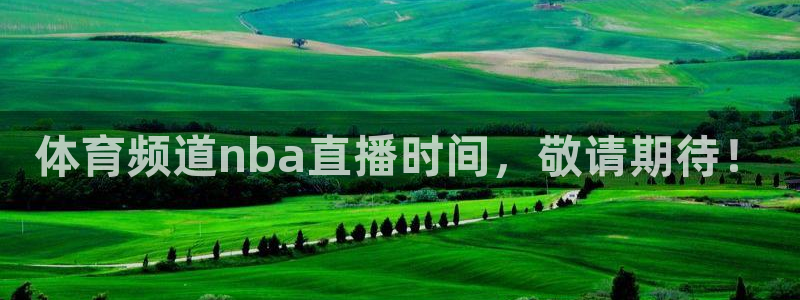 体育频道nba直播时间，敬请期待！