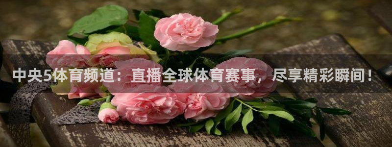 中央5体育频道：直播全球体育赛事，尽享精彩瞬间！