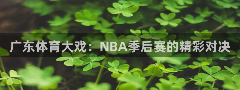 广东体育大戏：NBA季后赛的精彩对决